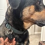 RASTREADOR GPS        — El Guardián Invisible — tu tranquilidad, siempre contigo —.